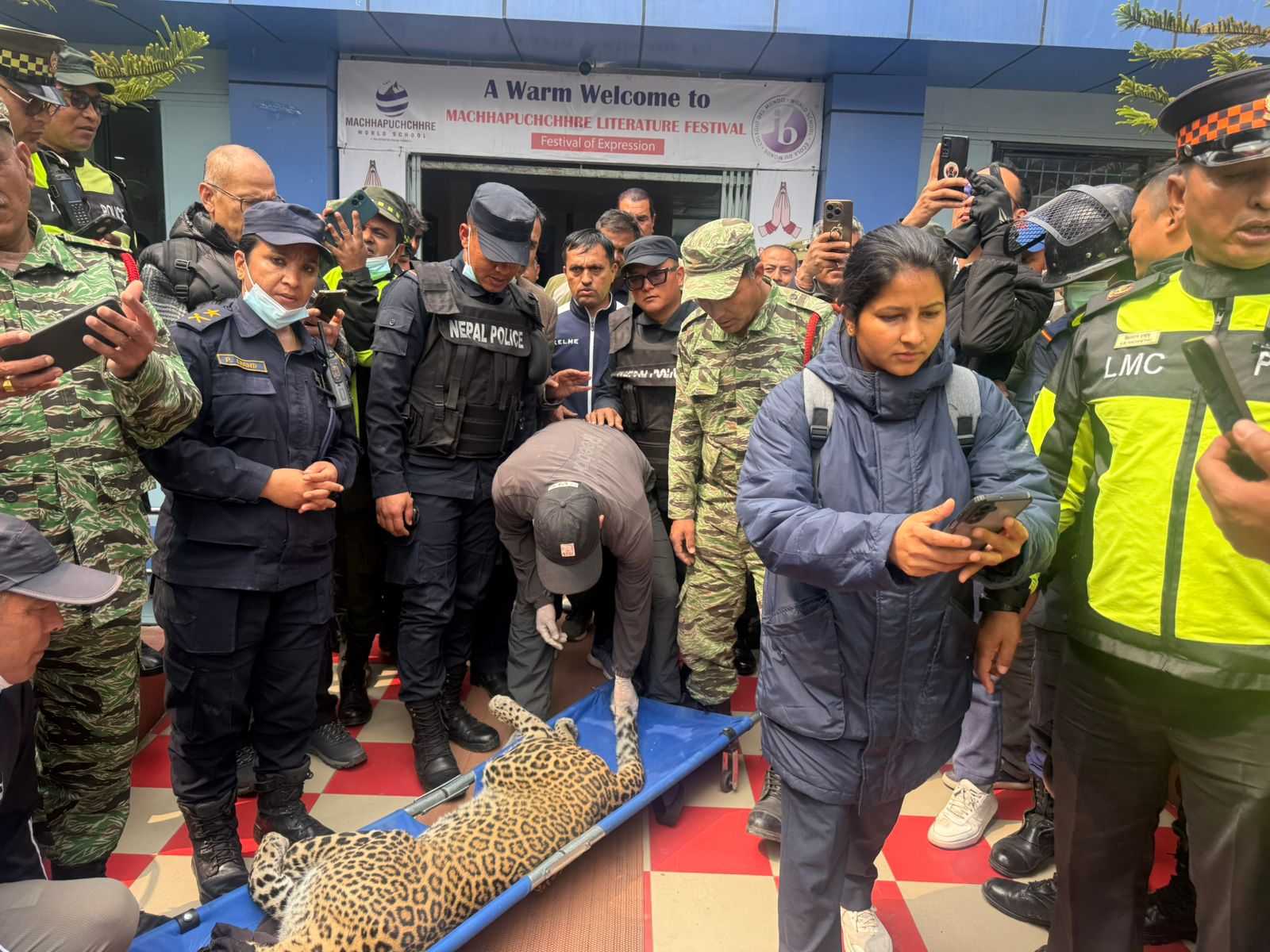 ललितपुरबाट चितुवाको उद्धार
