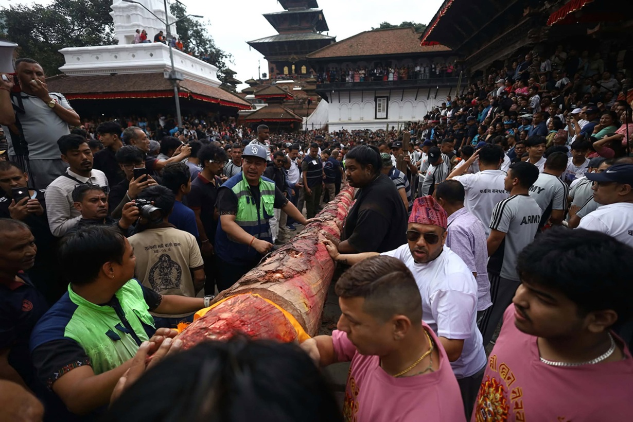 बसन्तपुरमा लिङ्गो ठड्याएर सुरु भयो इन्द्रजात्रा